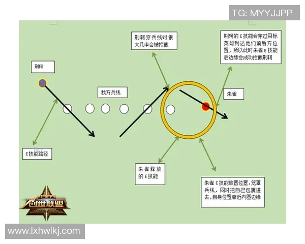 飞盘战术全解析：从基础到进阶的全面指南与实战技巧分享