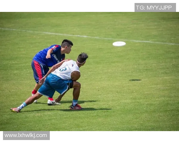 飞盘竞技新视角:深入分析北京飞盘队的战术灵活性与团队协作 飞盘竞技新视角:深入分析北京飞盘队的战术灵活性与团队协作