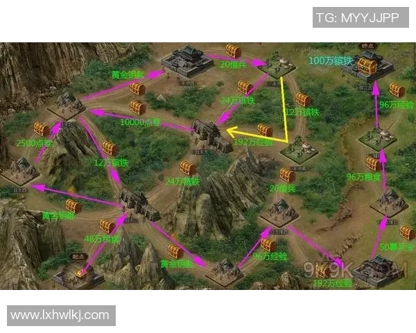 陈娜深度解析DOTA2游戏技巧与心得分享助你提升战斗力