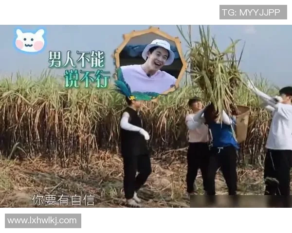 黄磊专访揭秘足球成功秘诀与背后故事分享