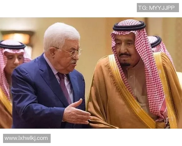 沙特与埃及贸易往来分析及其对双方经济盈亏的影响探讨