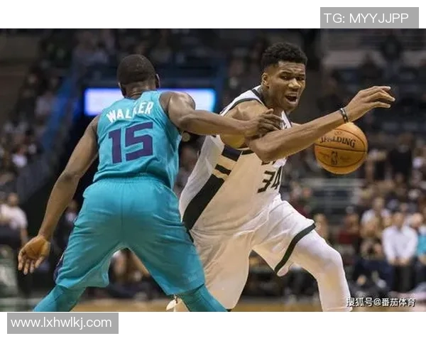 倔金与黄蜂对决前瞻分析双方阵容状态及战术布局探讨